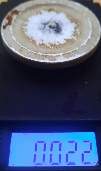 GPX 6000 Test Nugget - 0.02g